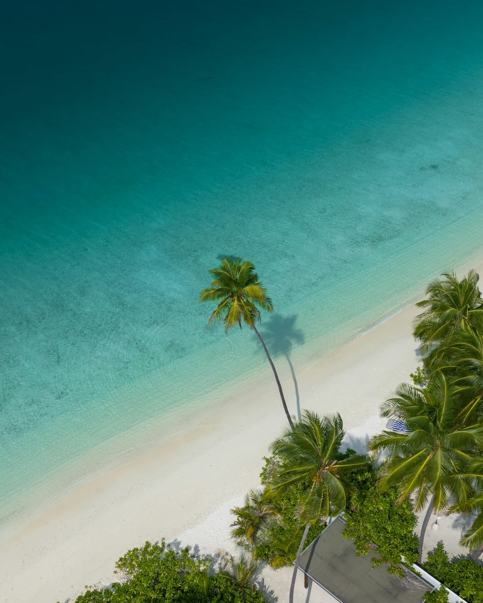 Logiciel gestion congés : simplifiez le suivi des vacances