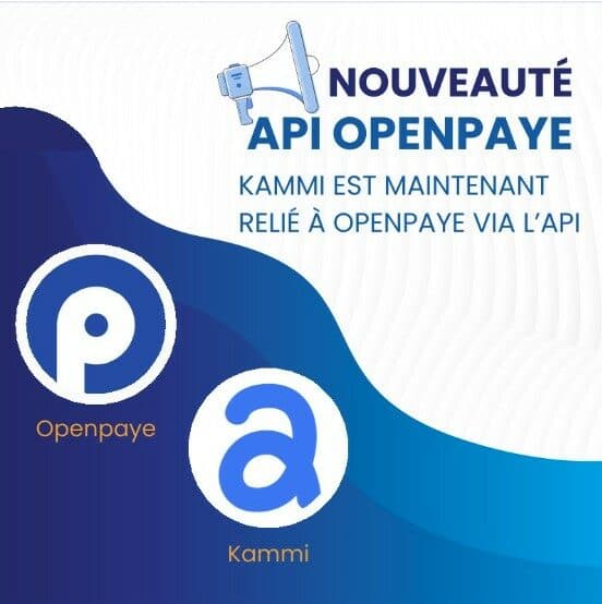 Comment Kammi est connecté à OpenPaye